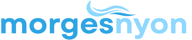 morges-nyon-tourisme.ch